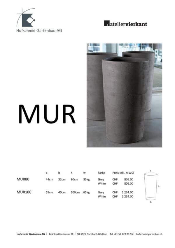 MUR 80 100