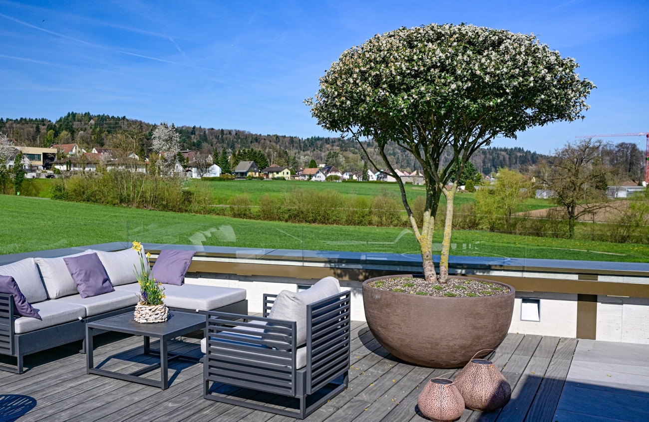 RefTerrasse15