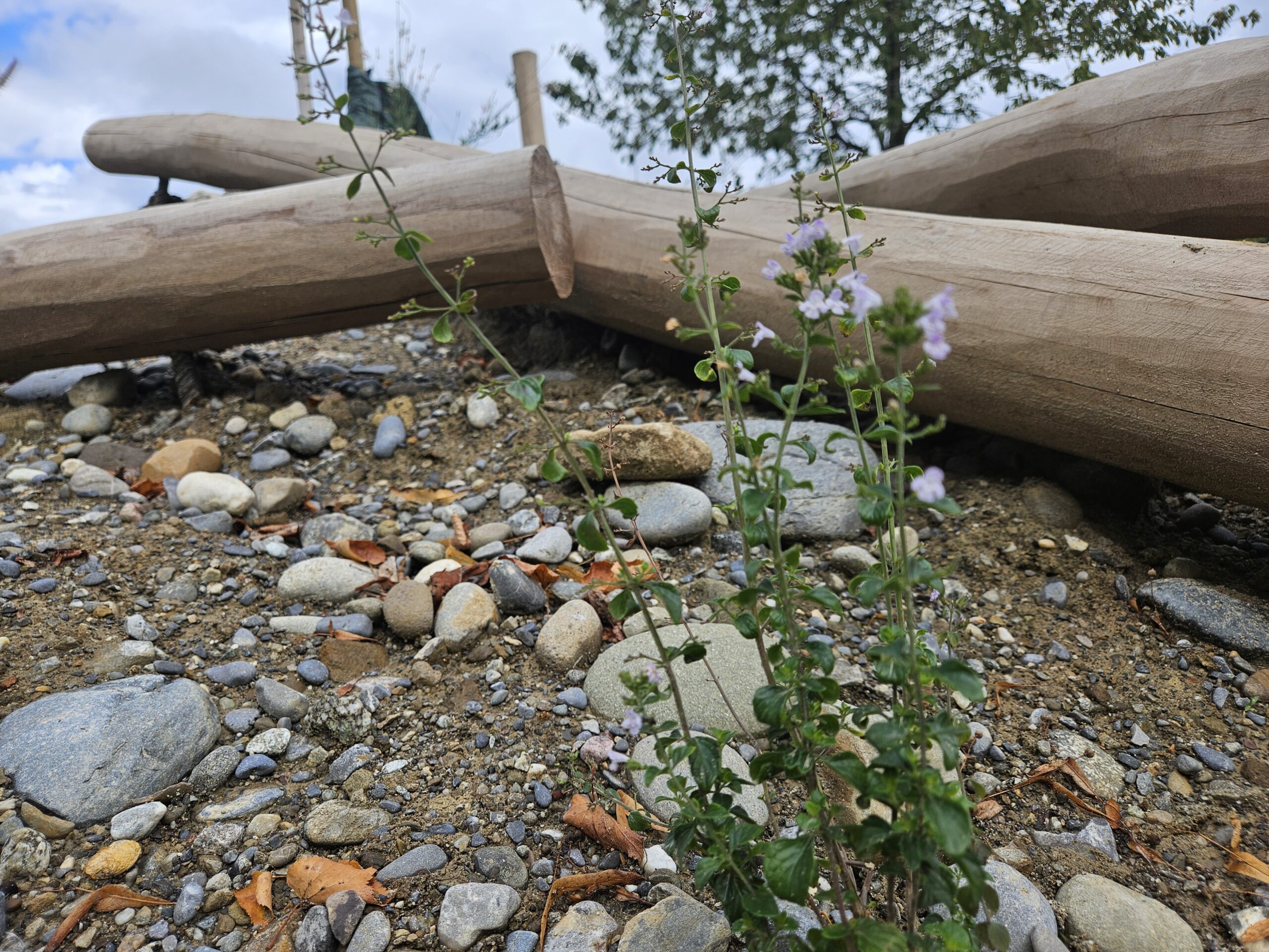 News Herzensprojekt 02