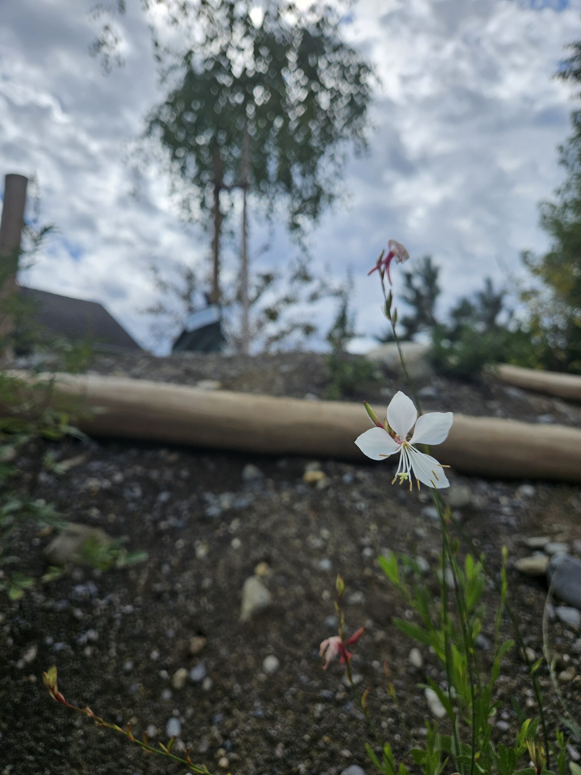 News Herzensprojekt 03